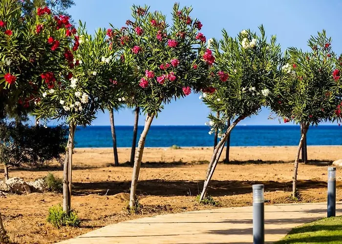 Glorious Sea-View, 1 Bedroom Holiday Home