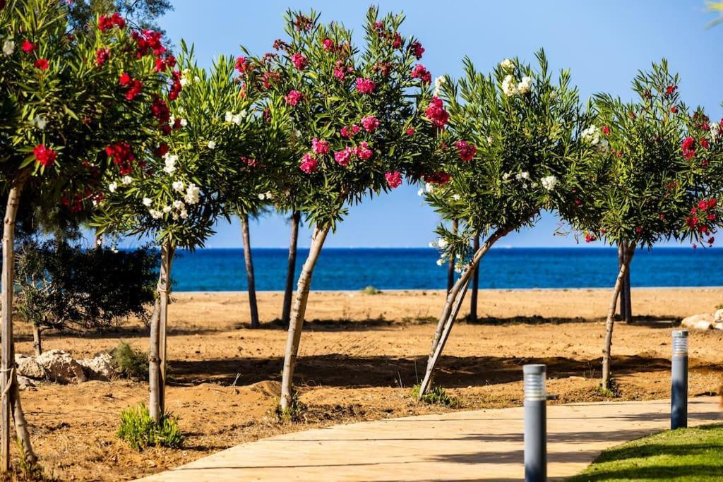 Glorious Sea-view, 1 Bedroom