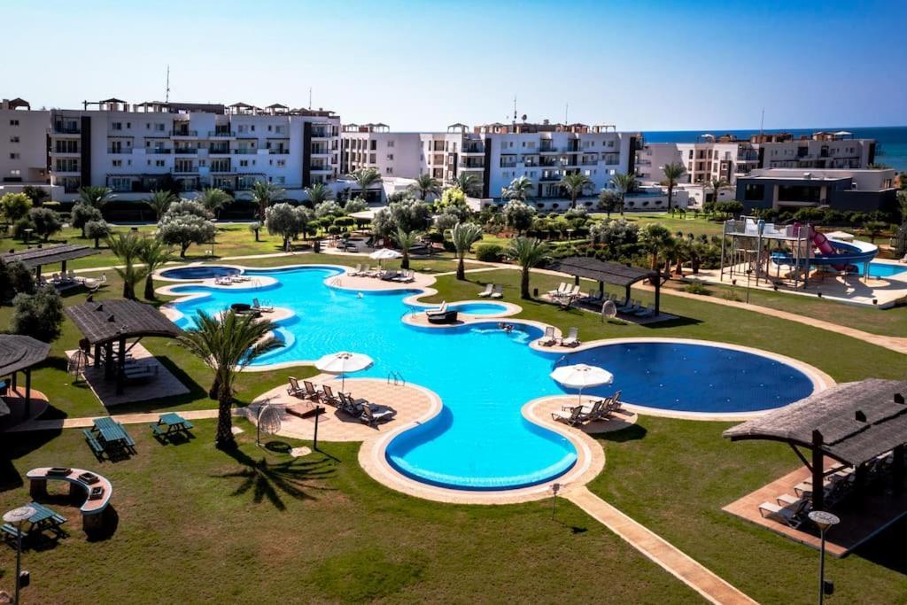 Apartment Glorious Sea-view, 1 Bedroom Vokolidha